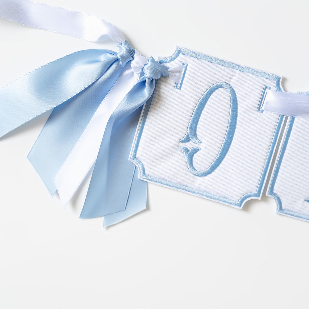 3 Piece ONE Banner: Blue Bitty Dot