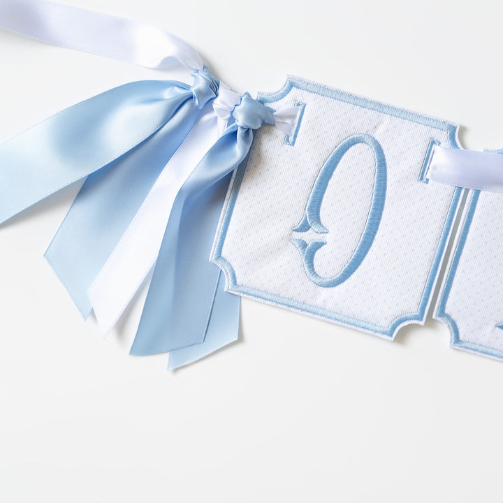 3 Piece ONE Banner: Blue Bitty Dot