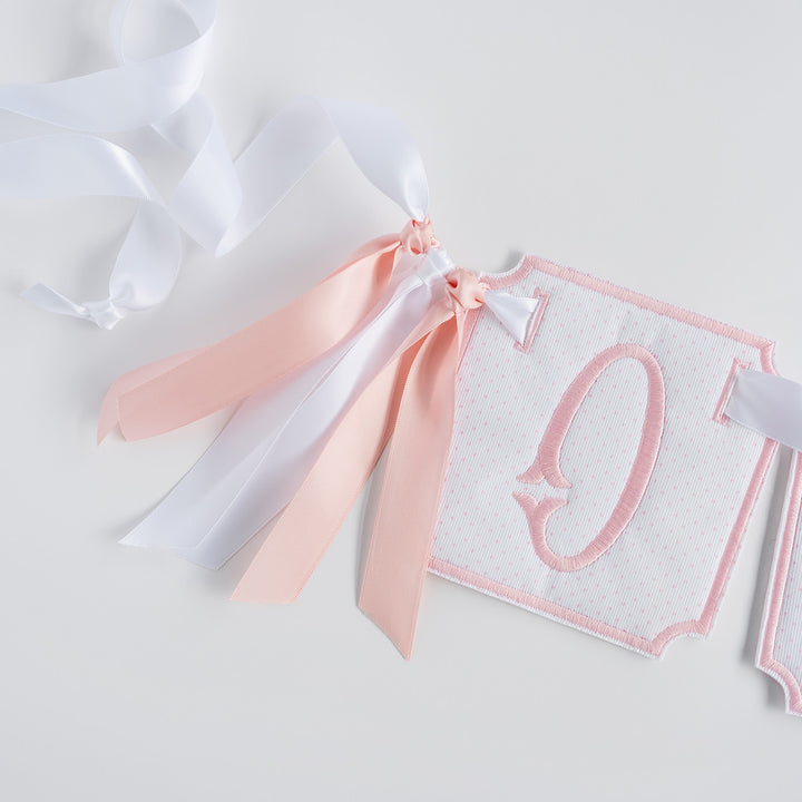 3 Piece ONE Banner: Pink Bitty Dot