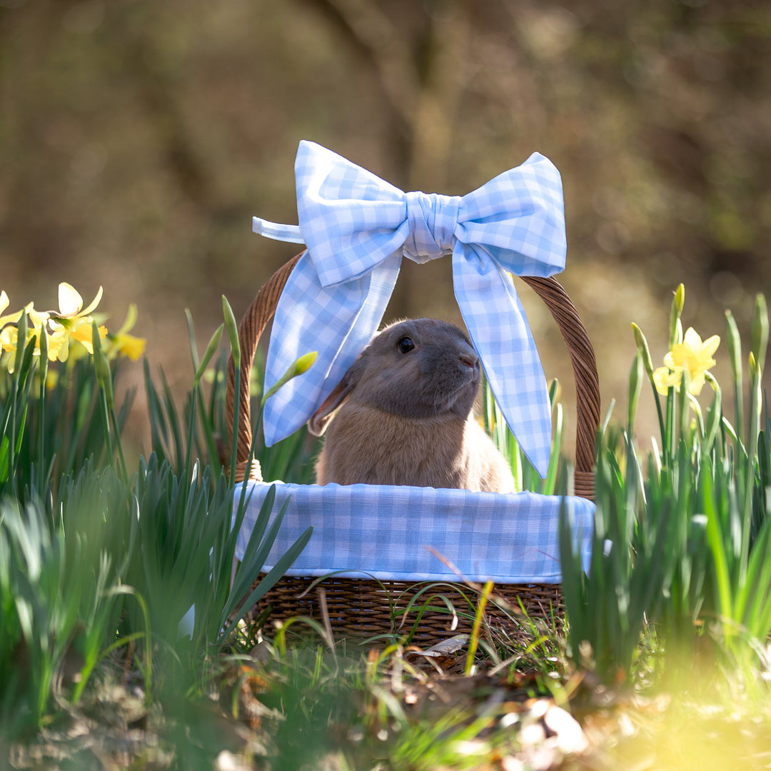 Little Blue Check Easter Basket Bow